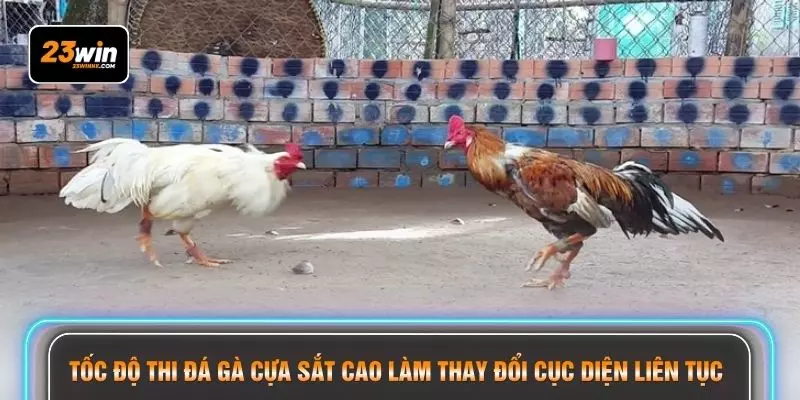 Tốc độ thi đá gà cựa sắt cao làm thay đổi cục diện liên tục
